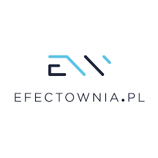 Top 28 rankingu firm interaktywnych effectownia