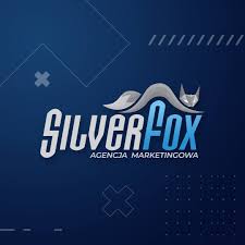 Top 49 rankingu firm marketingowych silver fox