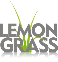 Top 72 rankingu firm marketingowych lemongrass